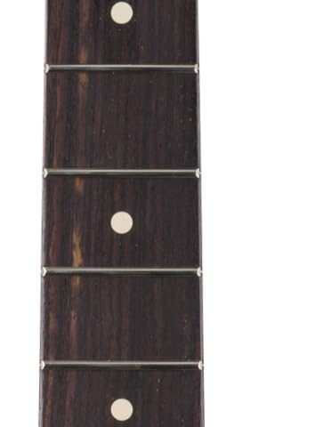 Fender 0990510921 Player II Series Stratocaster Neck, 22 Medium Jumbo Frets, Rosewood, 9.5", Modern "C"