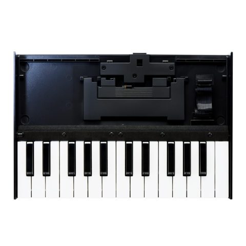 Roland K-25M Boutique Module Dock USB MIDI Keyboard, 12 inch ()