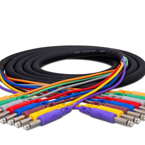 Hosa CPP-801 8-Channel 1/4-inch TS Male Snake - 3.3 Foot