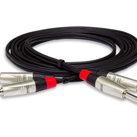 Hosa HPP-020X2 Pro Cable