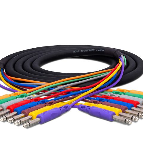 Hosa CPP-803 8-Channel 1/4-inch TS Male Snake - 9.9 Foot