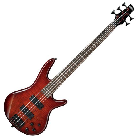 Ibanez GSR205SMCNB - Maple w/ Maple Fingerboard