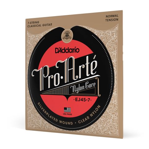 D'Addario EJ45 Strings