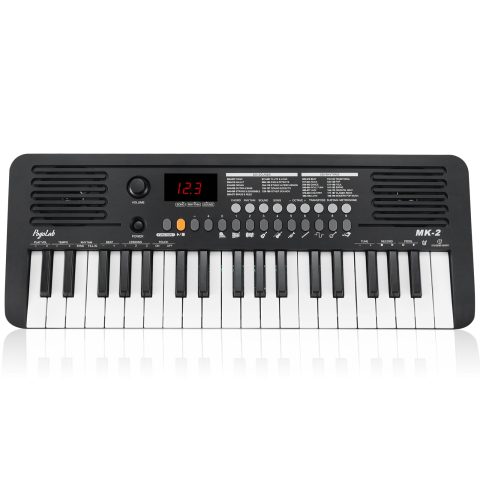 POGOLAB 37 Mini Keys Keyboard Piano, Portable Small Keyboard (Black)