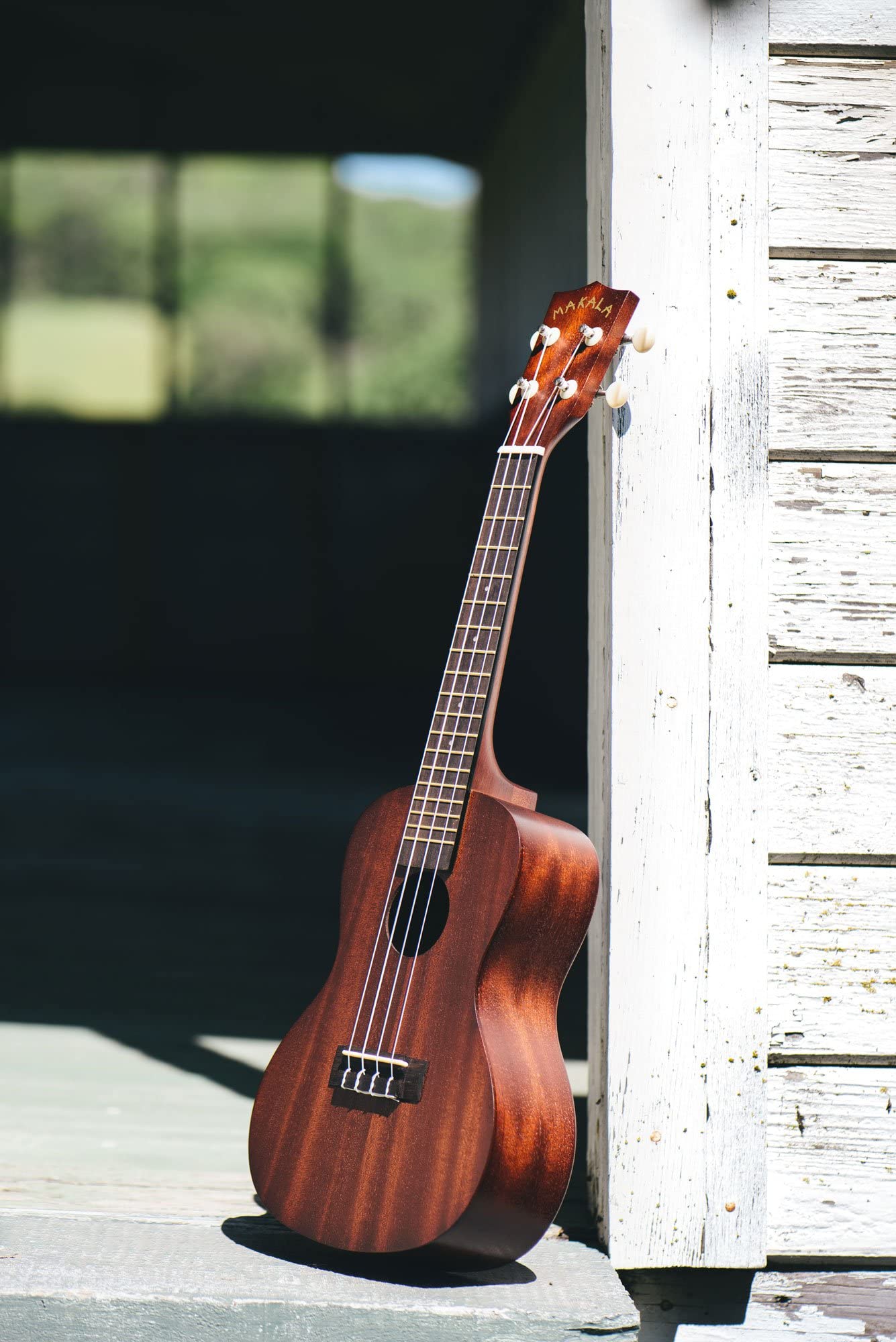 Kala MK-C Makala Concert Ukulele