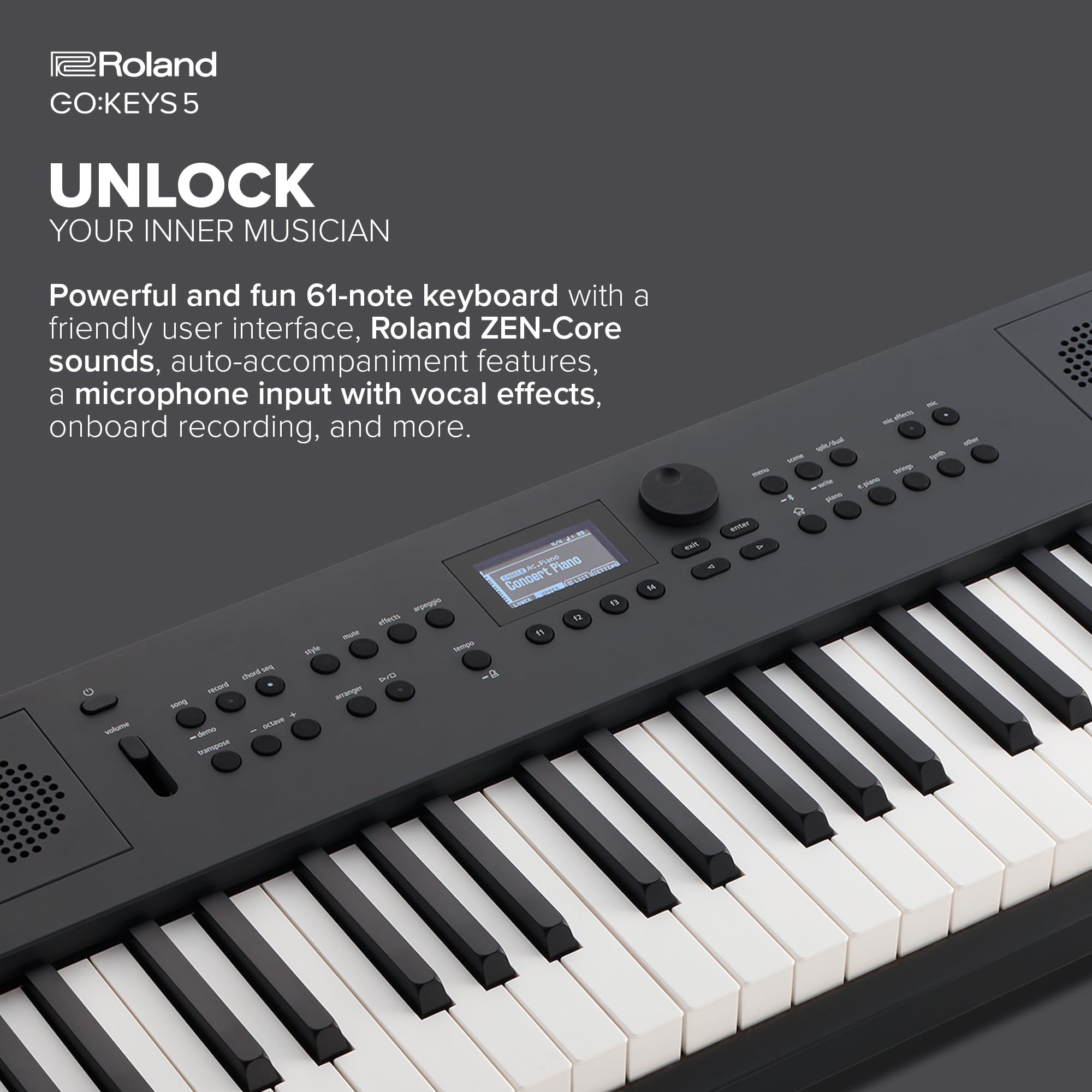 Roland GOKEYS5-GT GO:KEYS 5 Music Creation Keyboard, 61-Note, Graphite