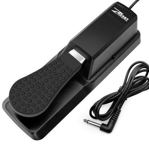 Sustain Pedal Universal for Keyboard, Piano Pedal with Polarity Switch for Digital Piano