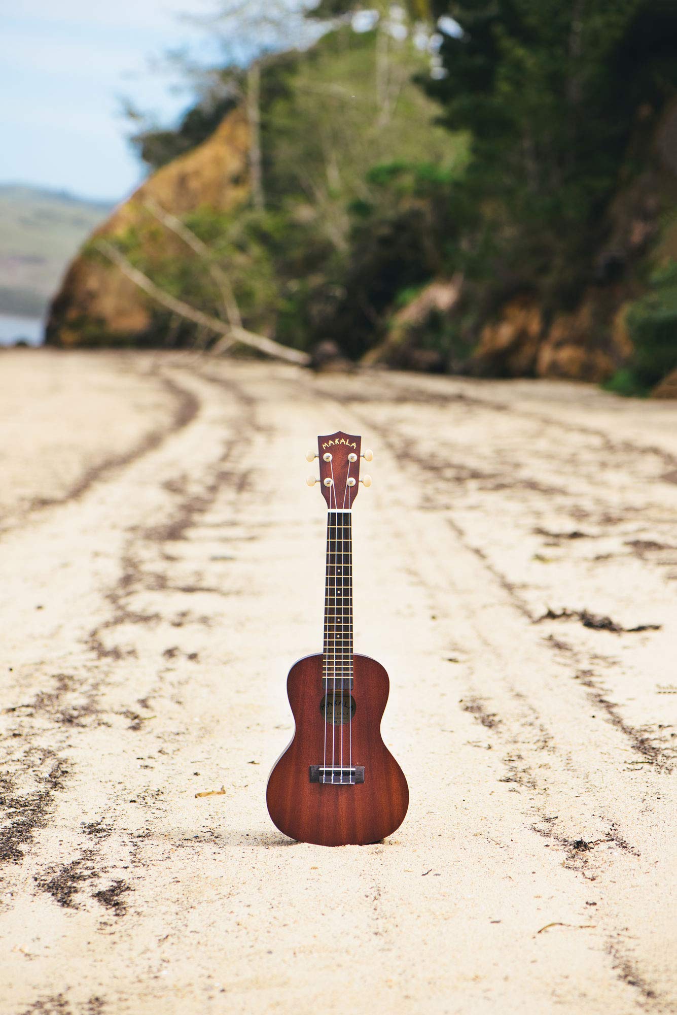 Kala MK-C Makala Concert Ukulele
