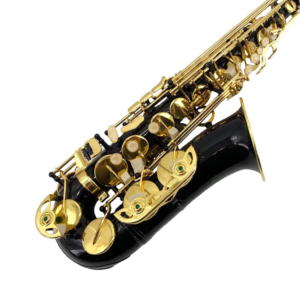 YoungMonic Alto Saxophone E Flat for Adults Students Saxophone Beginner Kit with Mouthpiece Carrying Case Straps 10Reeds