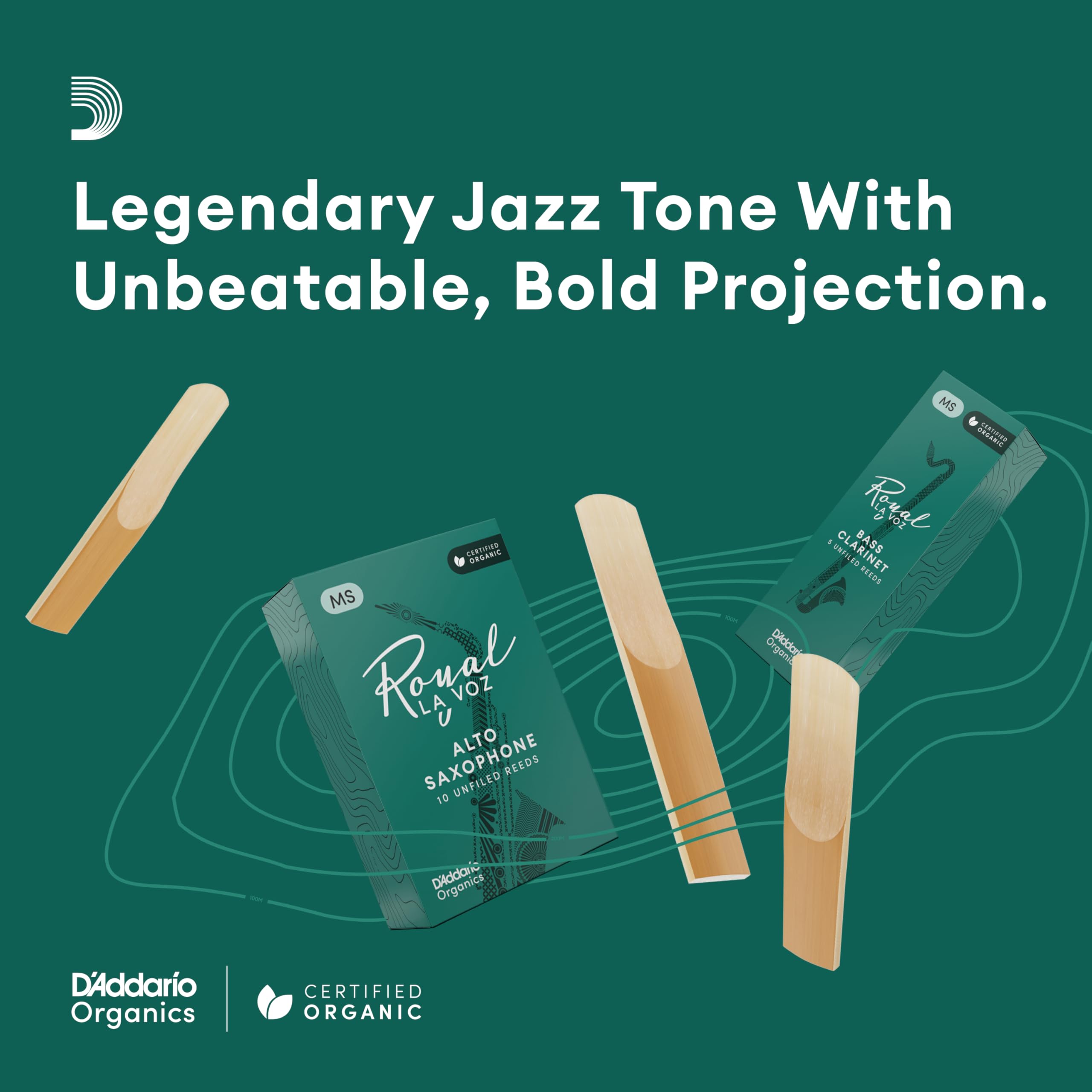 D’Addario RIC10HD La Voz Soprano Sax Reeds, Strength Hard, 10-pack