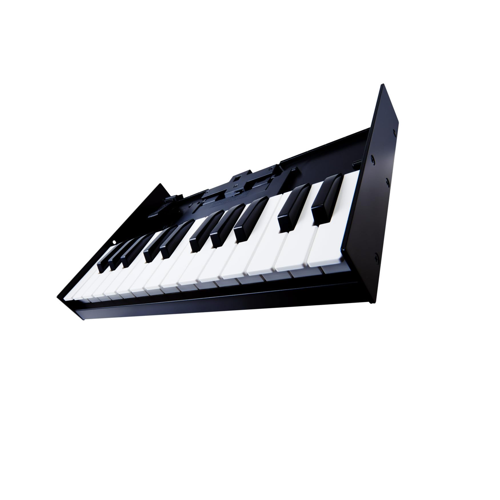 Roland K-25M Boutique Module Dock USB MIDI Keyboard, 12 inch ()