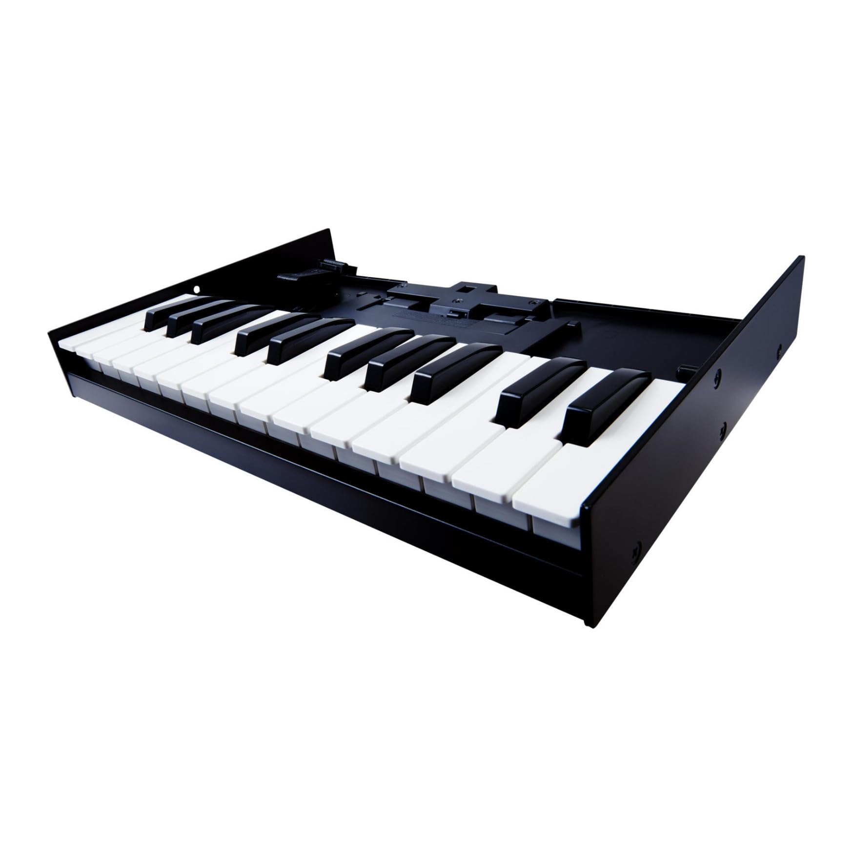 Roland K-25M Boutique Module Dock USB MIDI Keyboard, 12 inch ()