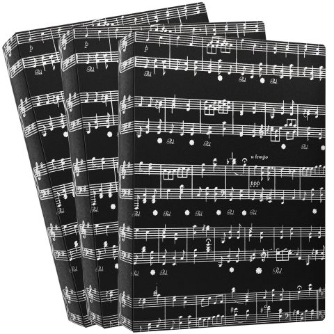 Sheet Music Folder Bulk 3Pack(Staff Notation, 3p)