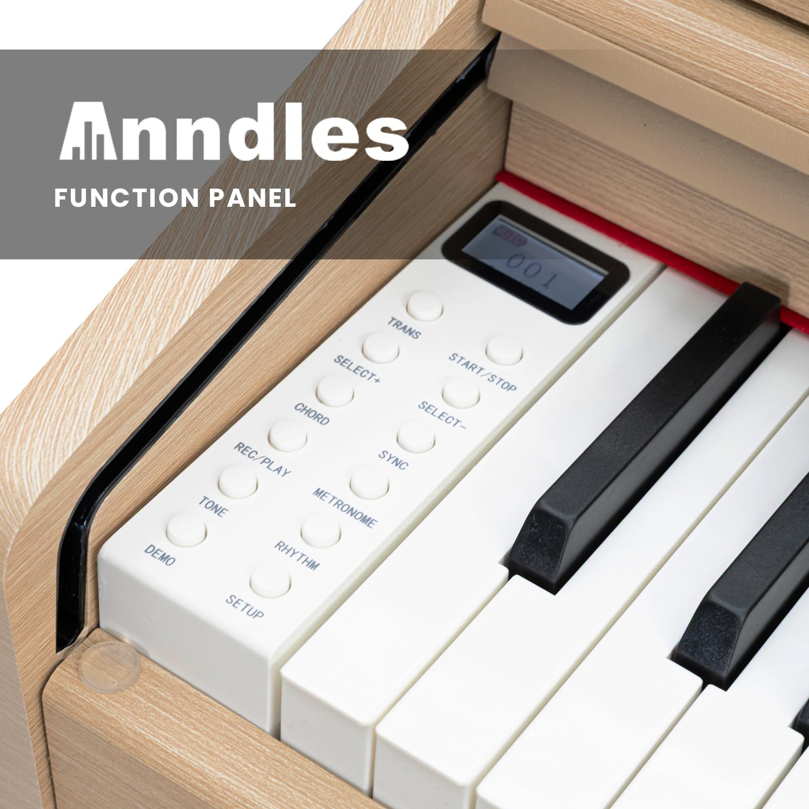 Anndles Keyboard Piano,Digital Piano Weighted For Beginner,Electric Piano 88 Keys,USB MIDI and Headphone Jack,Three Pedal