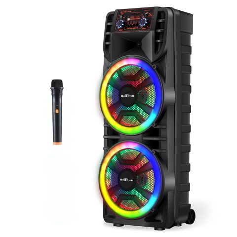 ROXAAN Wireless Party Bluetooth Speaker with Dual 12 Inches Woofers