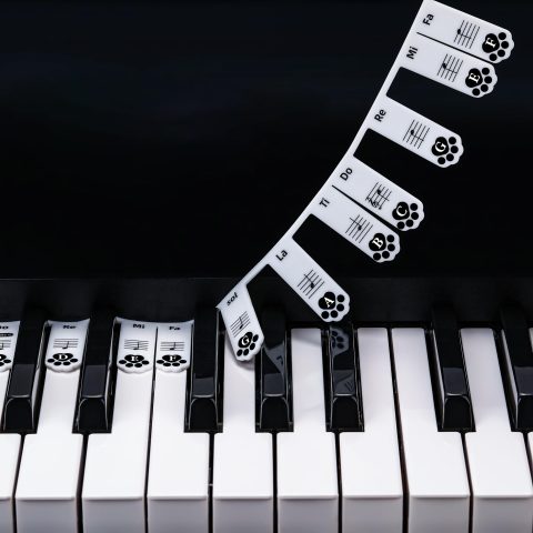 XynkoreX Silicone Piano Keyboard Stickers, Removable Piano Keyboard Note Labels for Learning, 88-Key Full Size, Piano Notes Guide for Beginner, Reusable Comes Unique and cute dog paw design (Black)