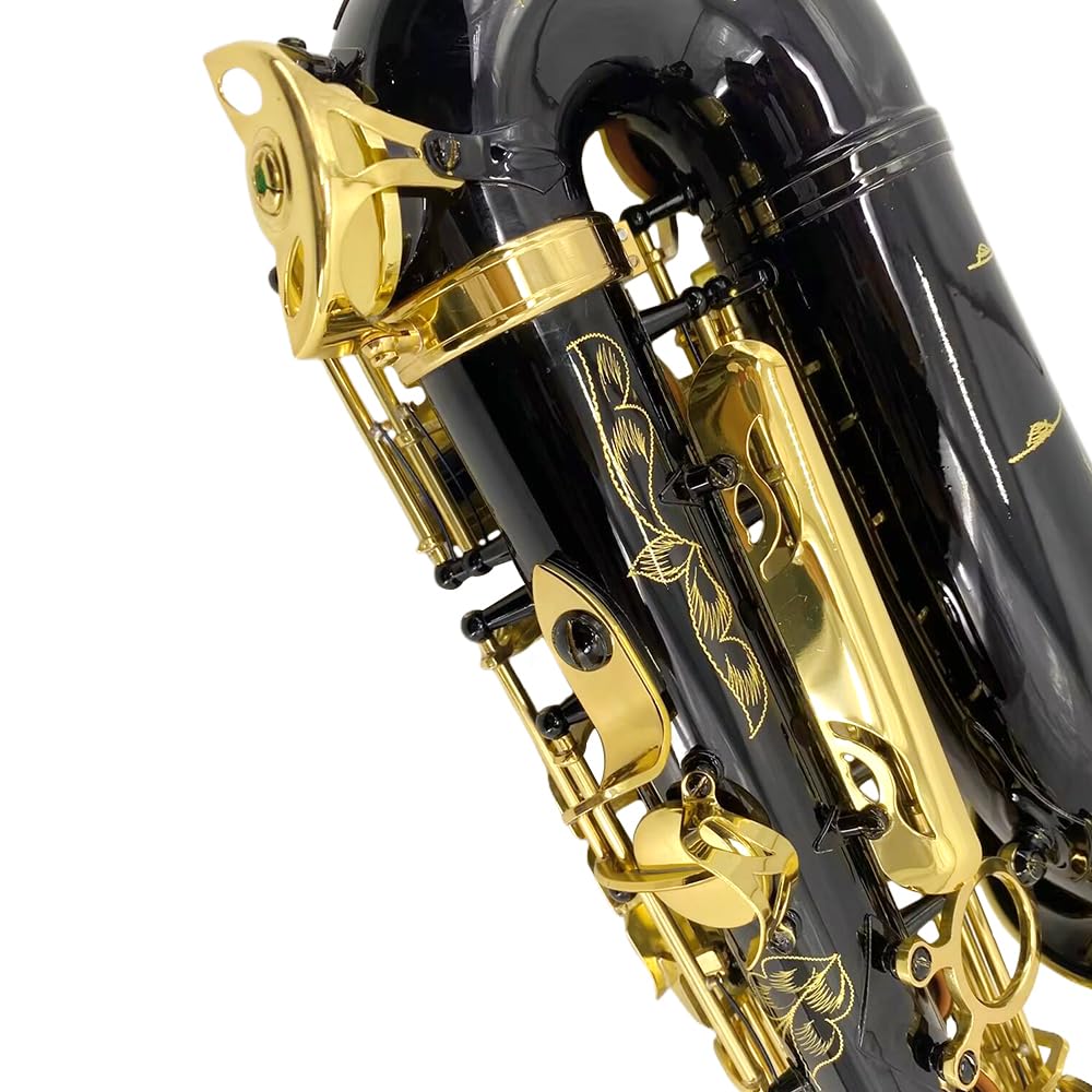 YoungMonic Alto Saxophone E Flat for Adults Students Saxophone Beginner Kit with Mouthpiece Carrying Case Straps 10Reeds