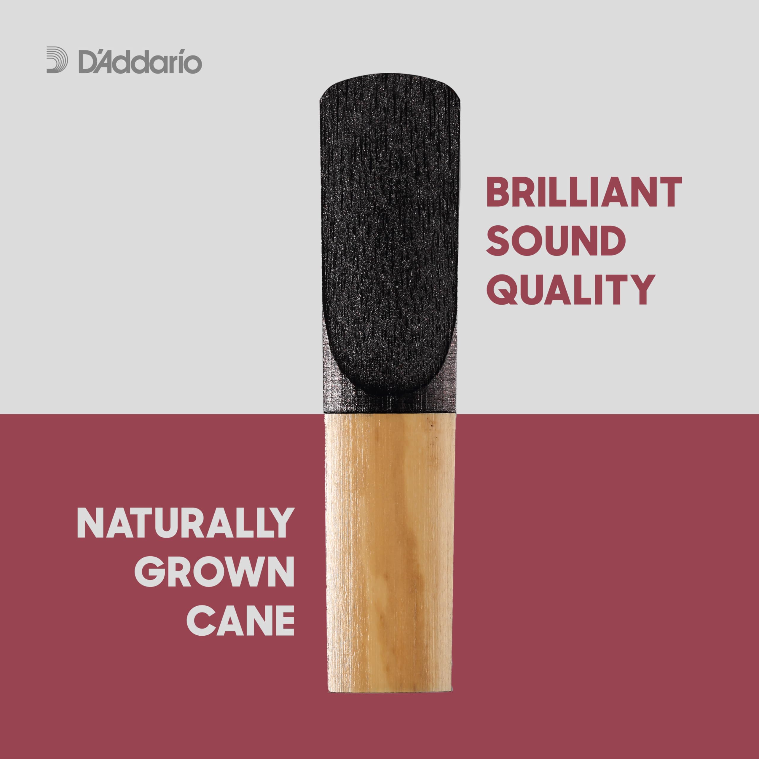Rico Plasticover Soprano Sax Reeds, Strength 2.5, 5-pack
