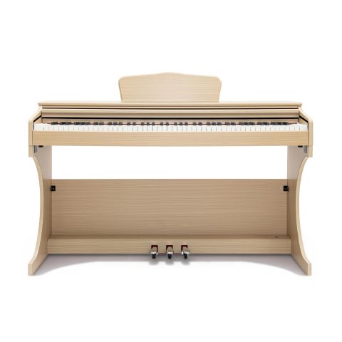 Anndles Keyboard Piano,Digital Piano Weighted For Beginner,Electric Piano 88 Keys,USB MIDI and Headphone Jack,Three Pedal
