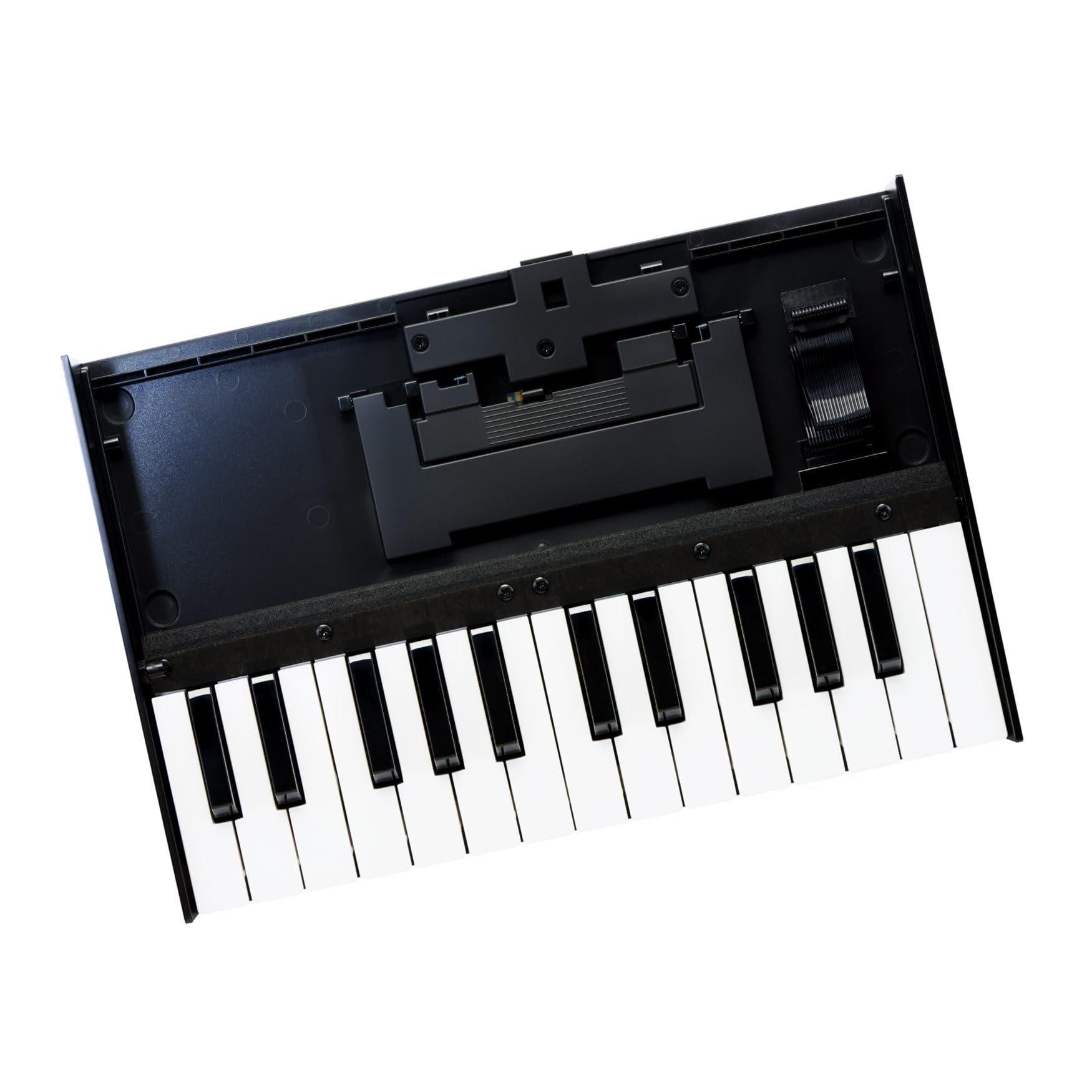 Roland K-25M Boutique Module Dock USB MIDI Keyboard, 12 inch ()