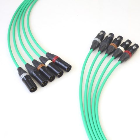 BJC Star Quad XLR Cables, Canare L-4E6S with Neutrik BXX-Series XLRs (Five-Channel Set, Green, 3 Foot)