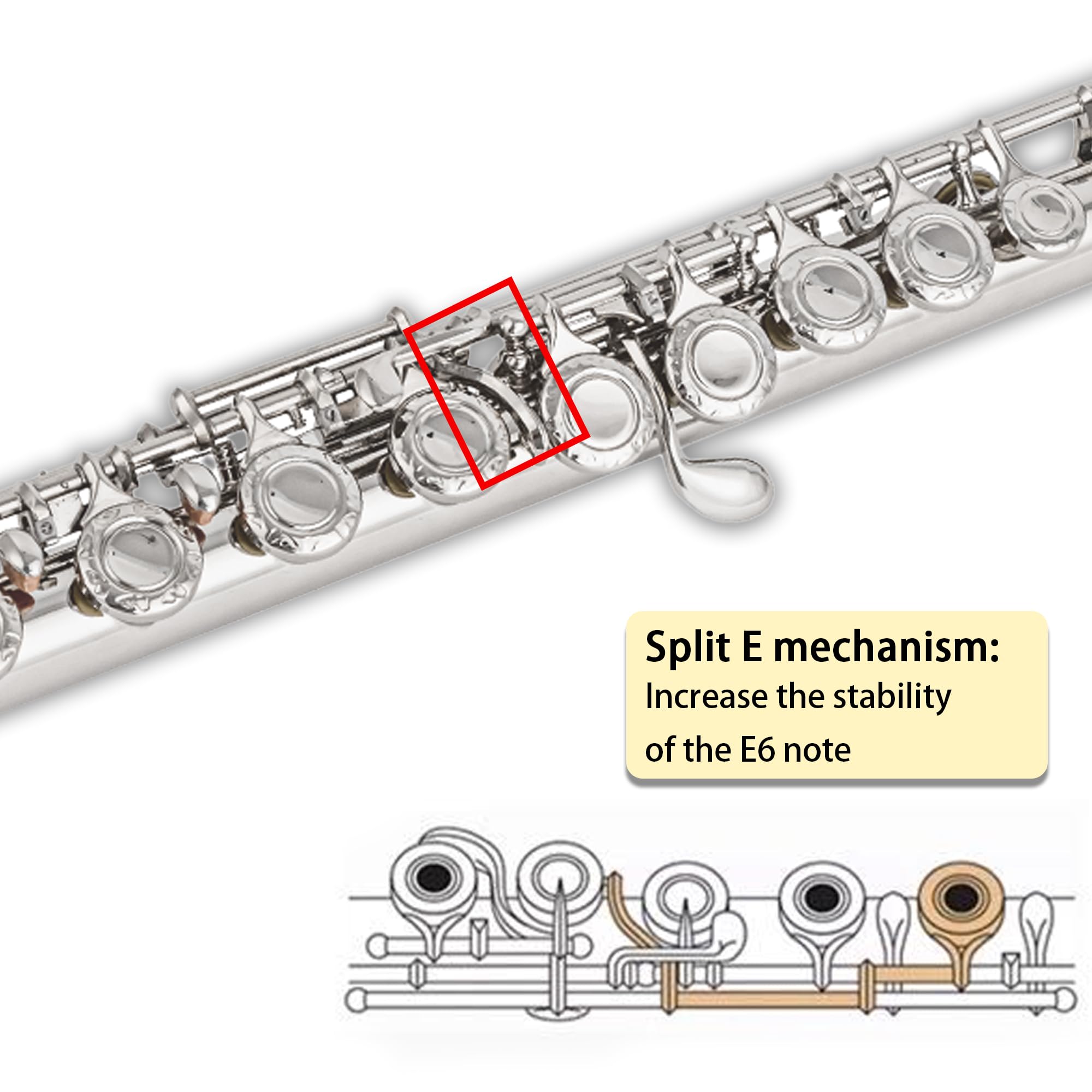 BAHAMUT 17 Key Open Hole Flute Instrument, Silver-Plated Flauta, B Foot