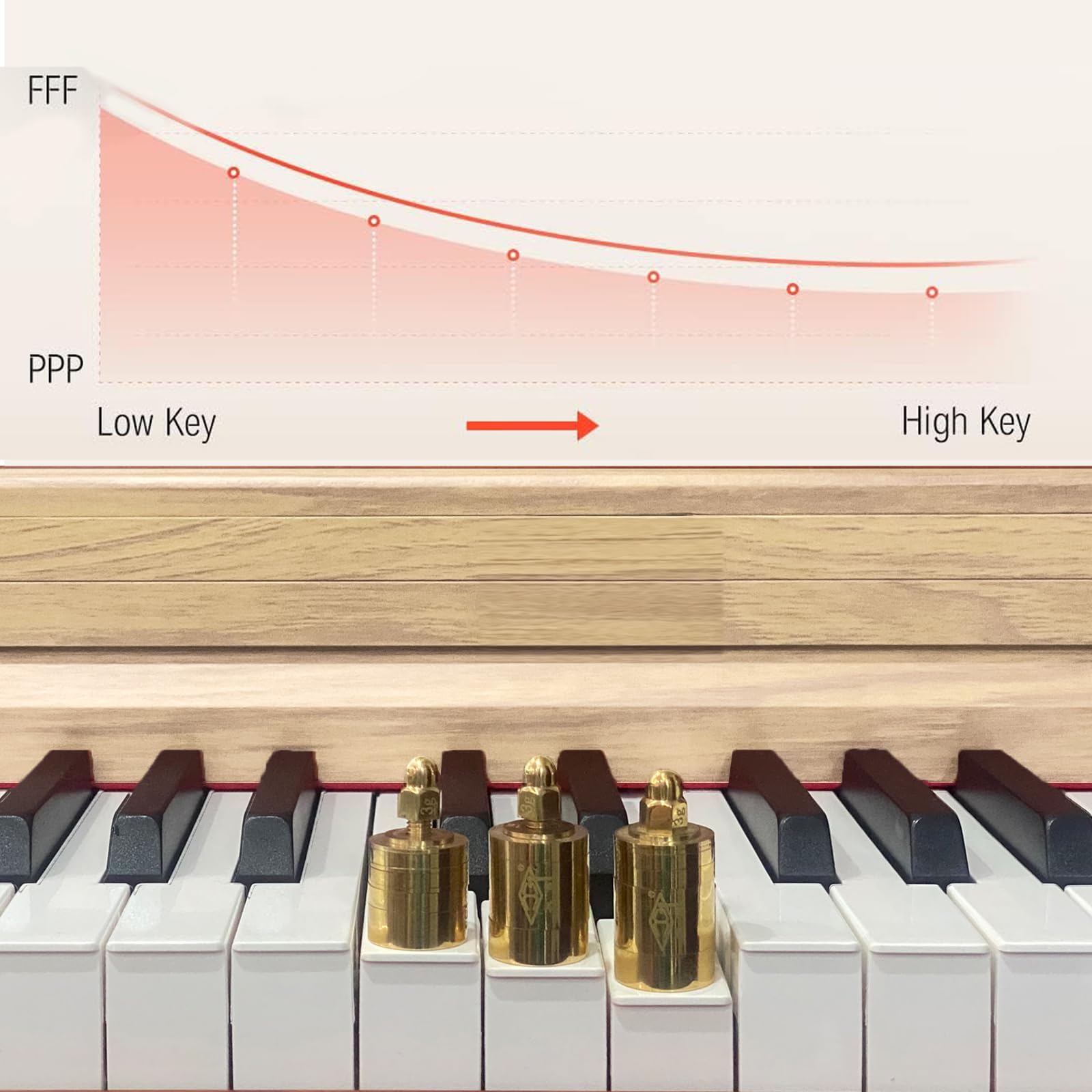 Anndles Keyboard Piano,Digital Piano Weighted For Beginner,Electric Piano 88 Keys,USB MIDI and Headphone Jack,Three Pedal