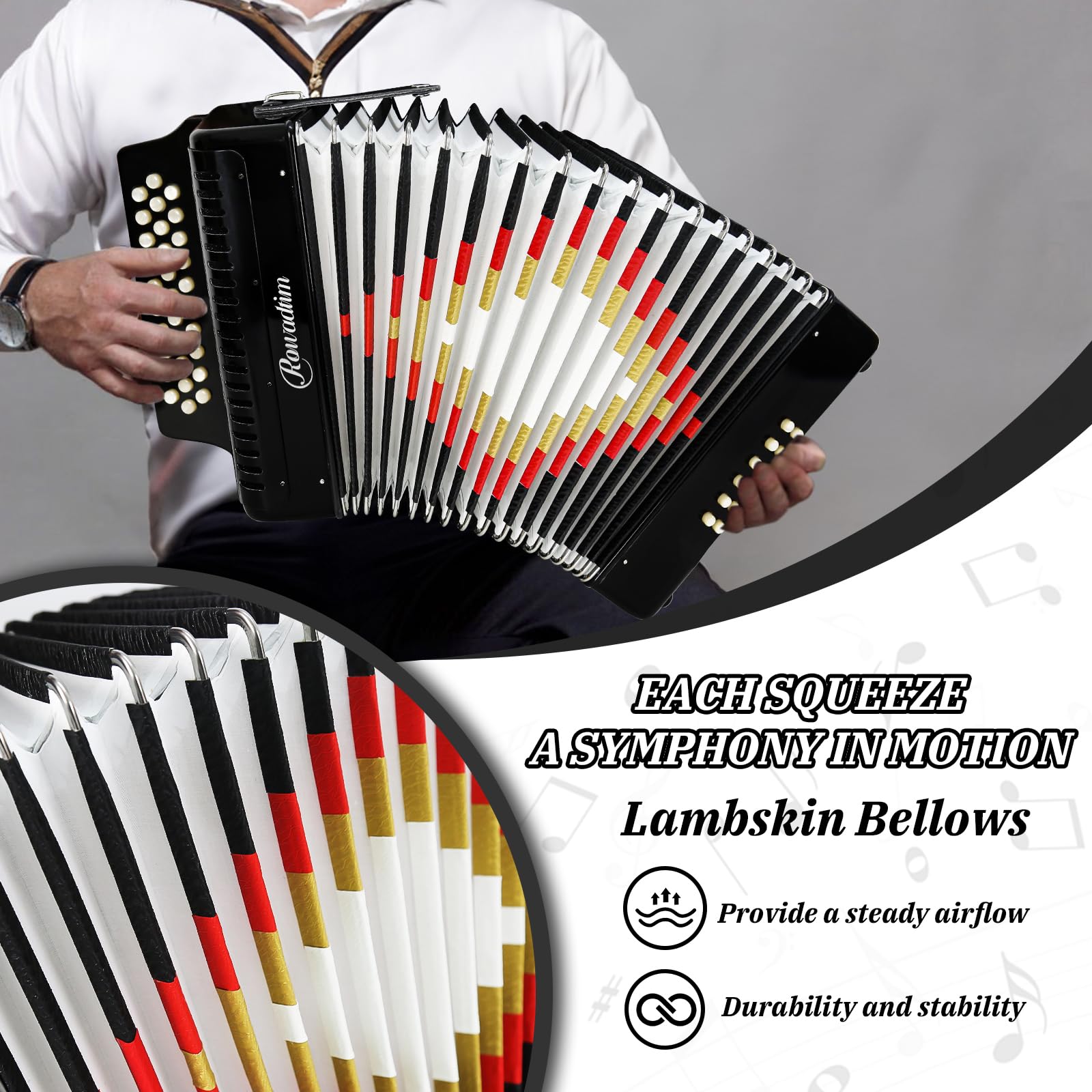 Accordions 31 Key 12 Bass Diatonic F/B/E Accordion Carry Kit (Black)