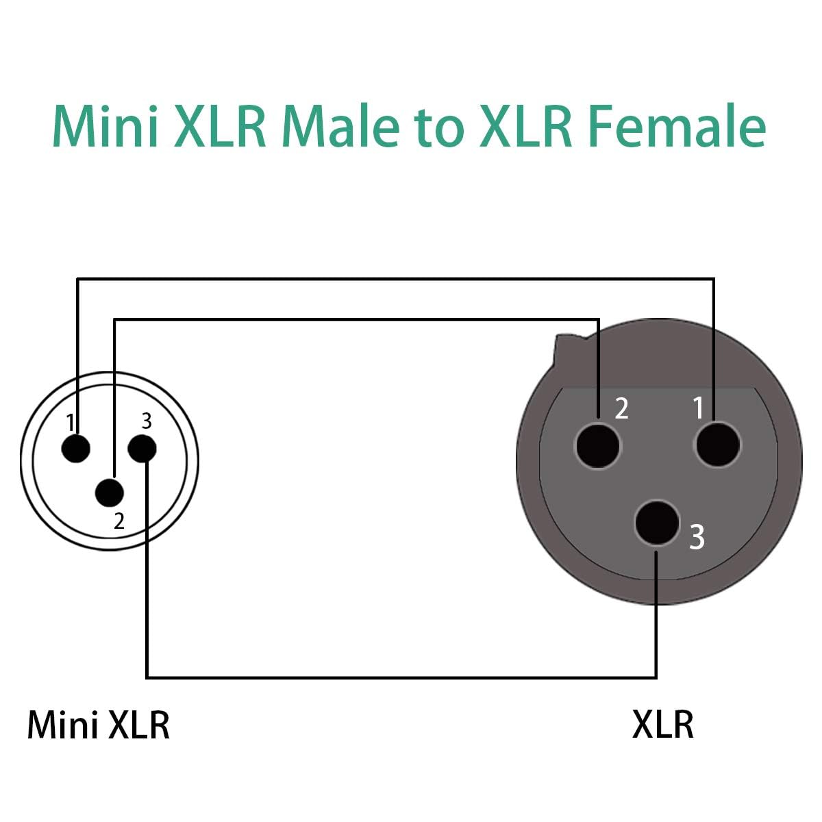 JOMLEY Mini XLR Male to XLR Female Microphone Audio Cable – 1ft