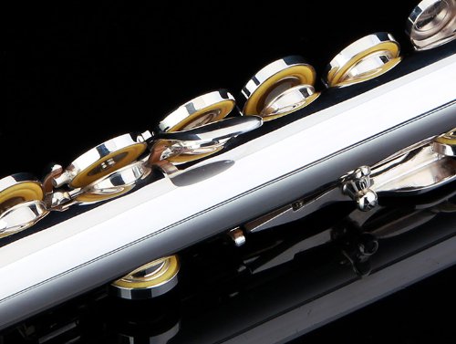 Glory Premium Hand Engraved Silver Plated FLUTE 17 Hole OPEN/CLOSED C Flute With Deluxe Case, Tuning Rod,Cloth,Gloves