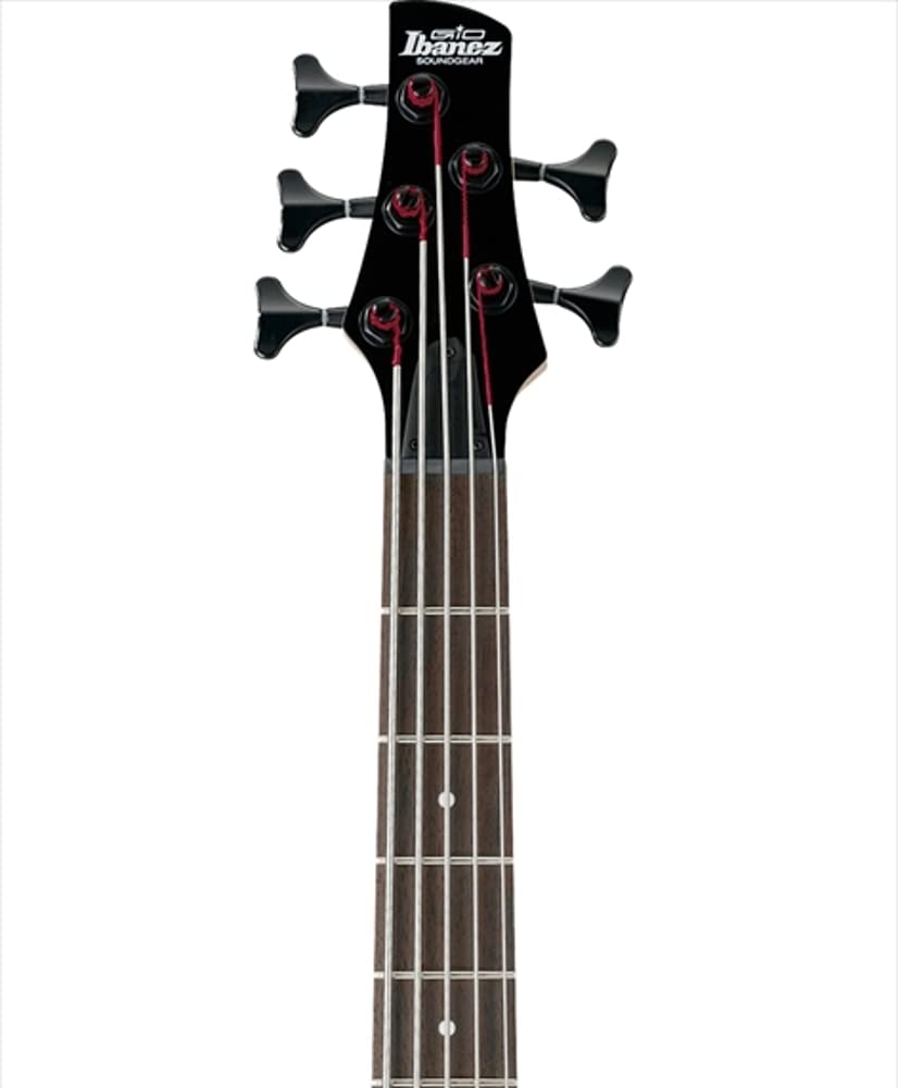 Ibanez GSR205BWNF GIO – Walnut Flat