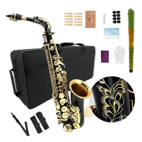 YoungMonic Alto Saxophone E Flat for Adults Students Saxophone Beginner Kit with Mouthpiece Carrying Case Straps 10Reeds