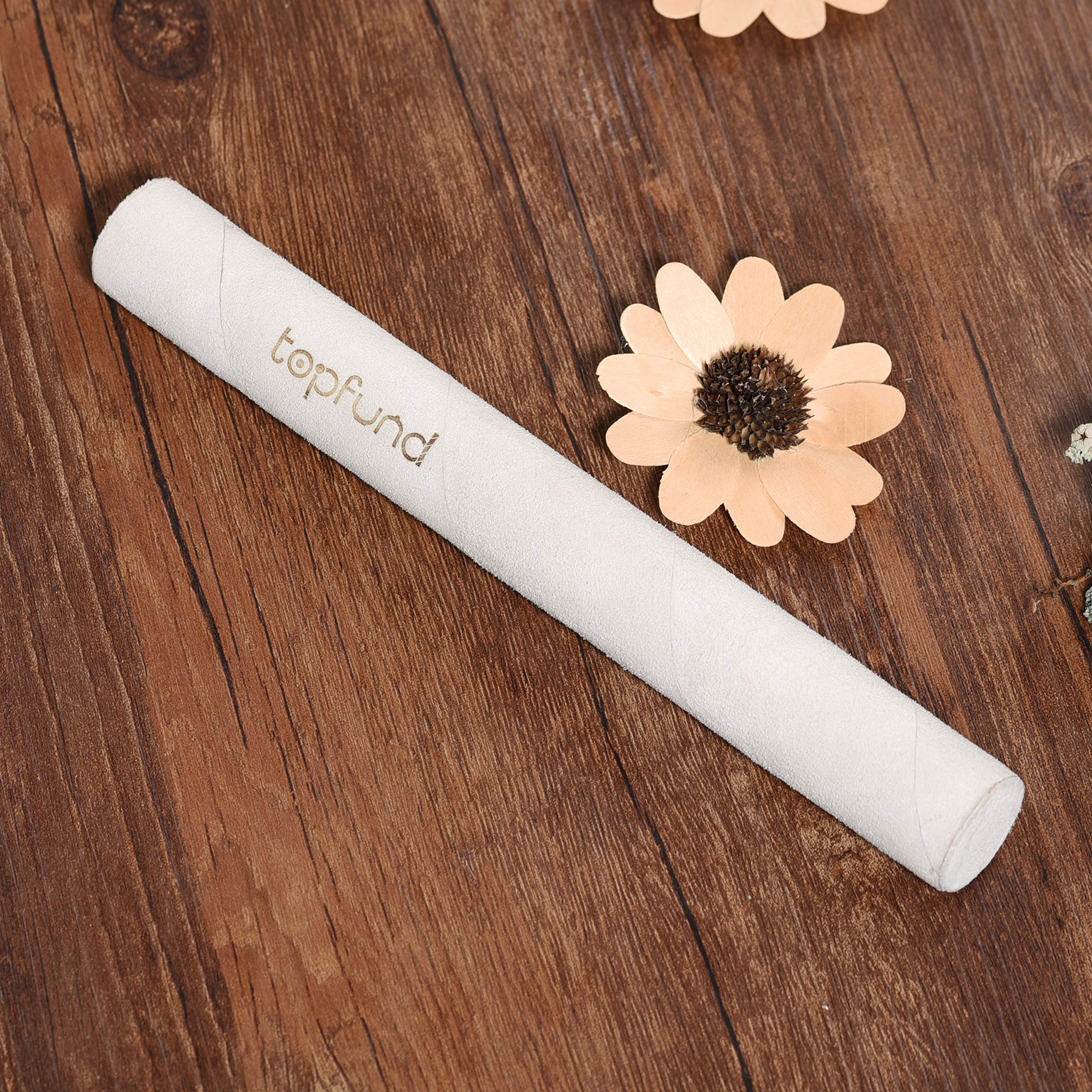 TOPFUND 10 Inch 440Hz Chakra Singing Bowl