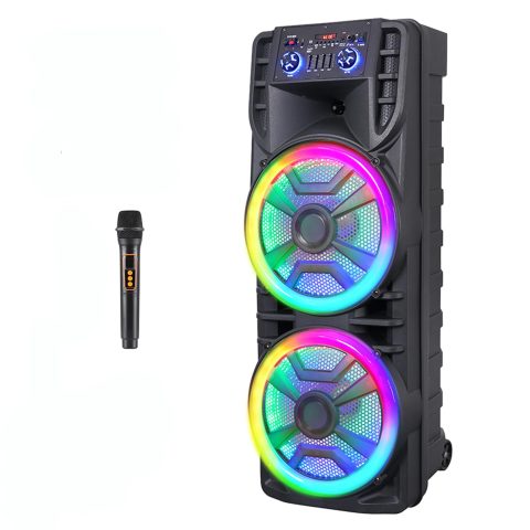 ROXAAN Dual 12’’ Wireless Bluetooth Party Speaker with Microphone
