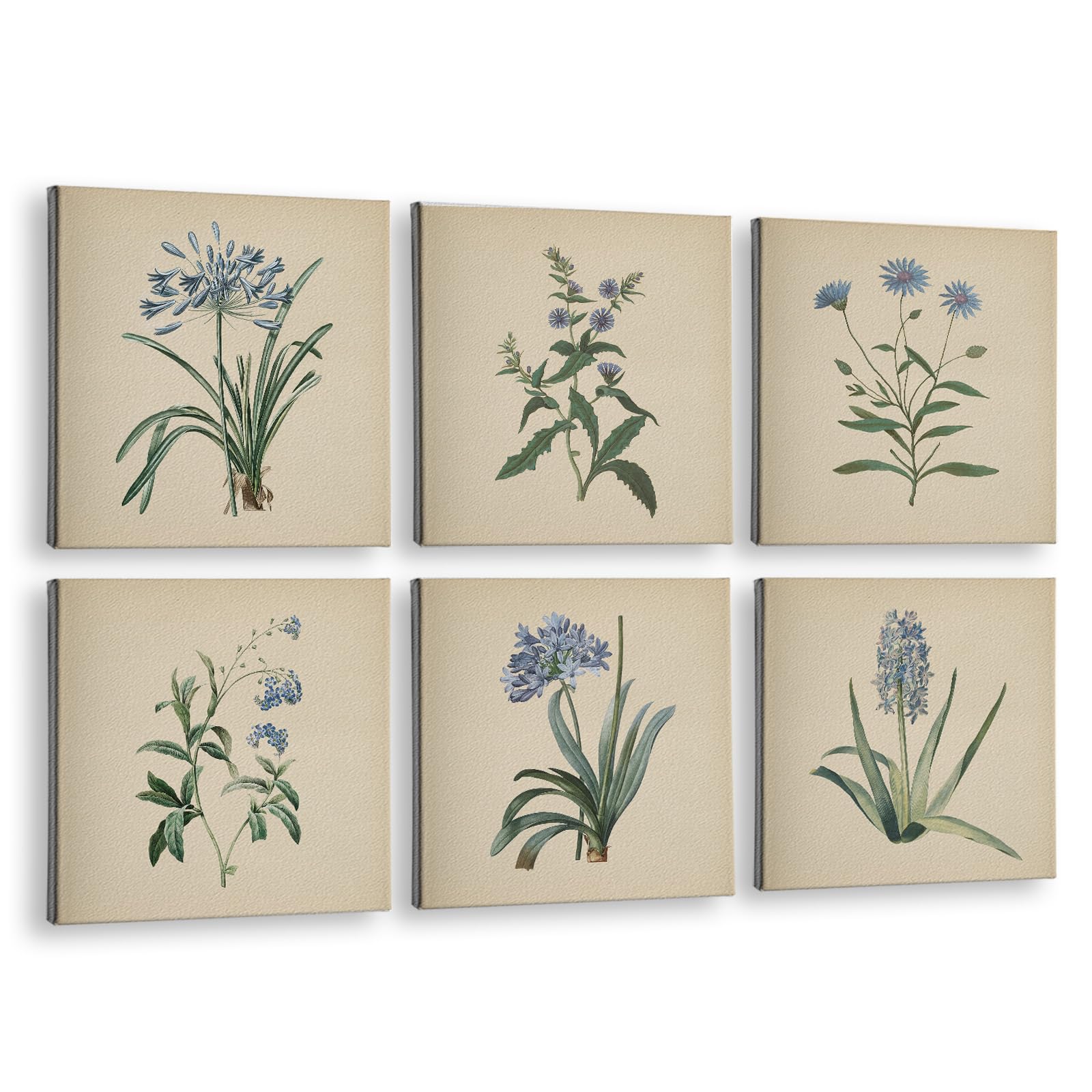 InSimSea Acoustic Wall Art, 72×48 In, Vintage Botanical Art