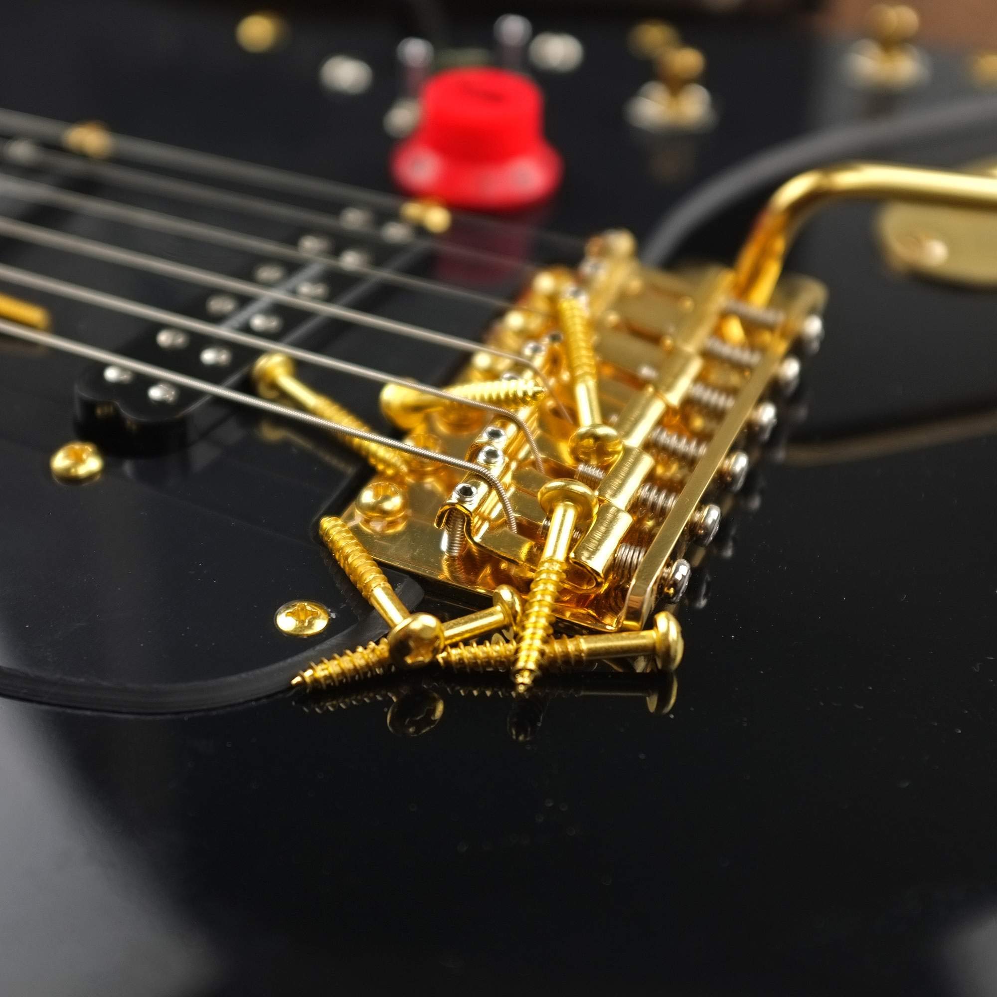 MAKA Guitar Screw Kit Assortment Box Kit for Electric Guitar Bridge, Pickup, Pickguard, Tuner, Switch, Neck Plate, with Springs, 9 Types, Total 149 Screws, Gold