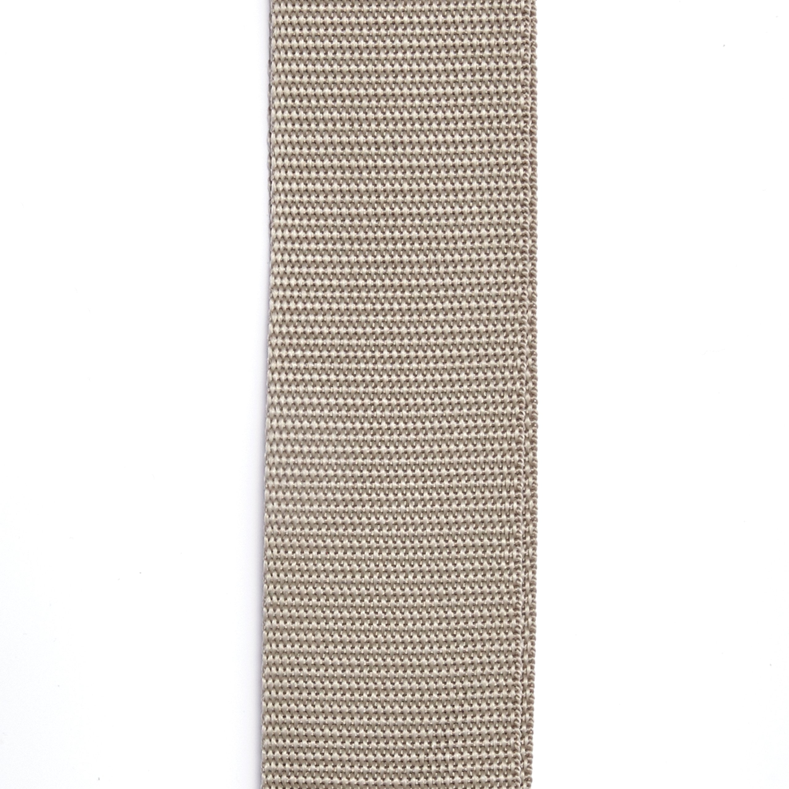 D’Addario 50MM Polypropylene Strap, Silv (PWS105)