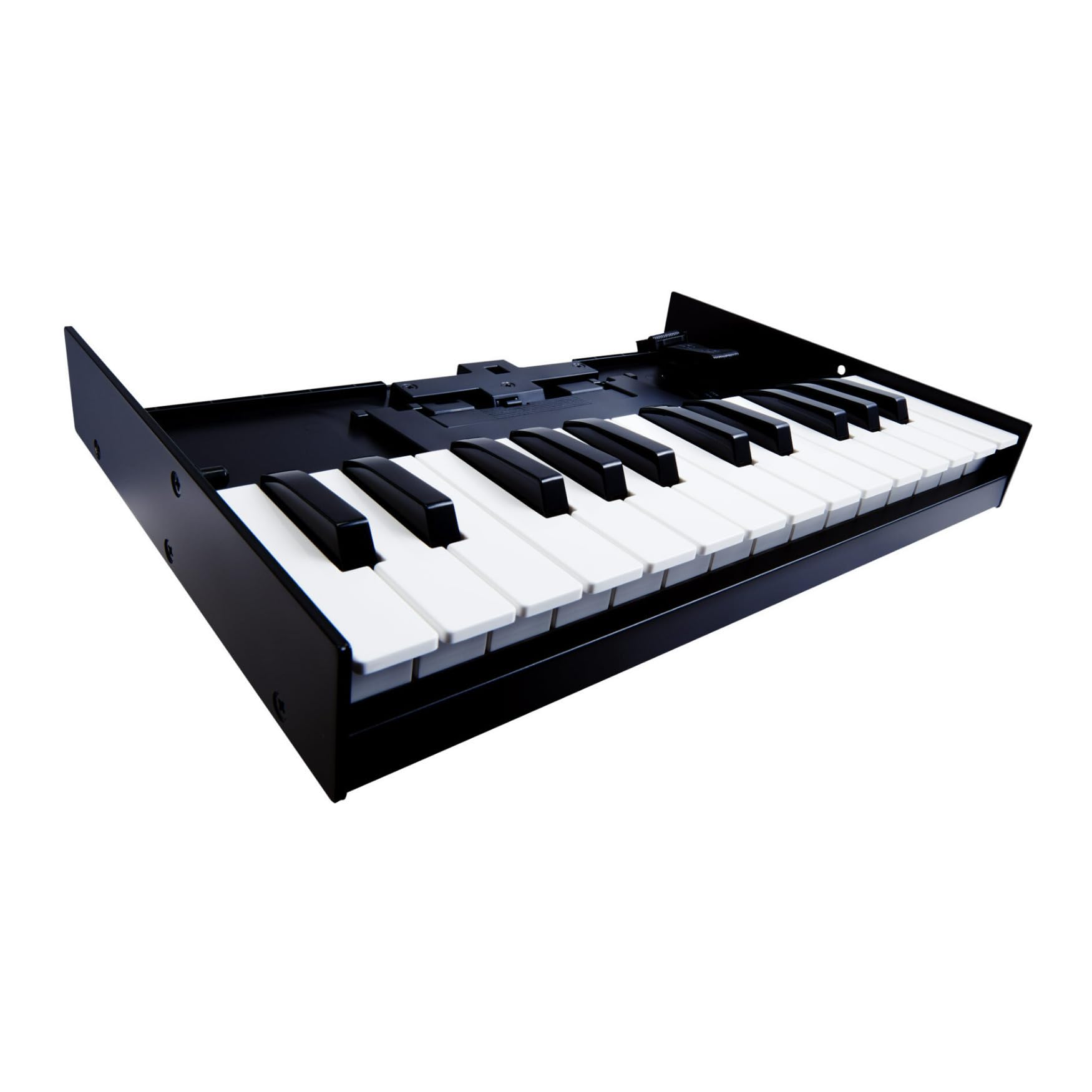 Roland K-25M Boutique Module Dock USB MIDI Keyboard, 12 inch ()