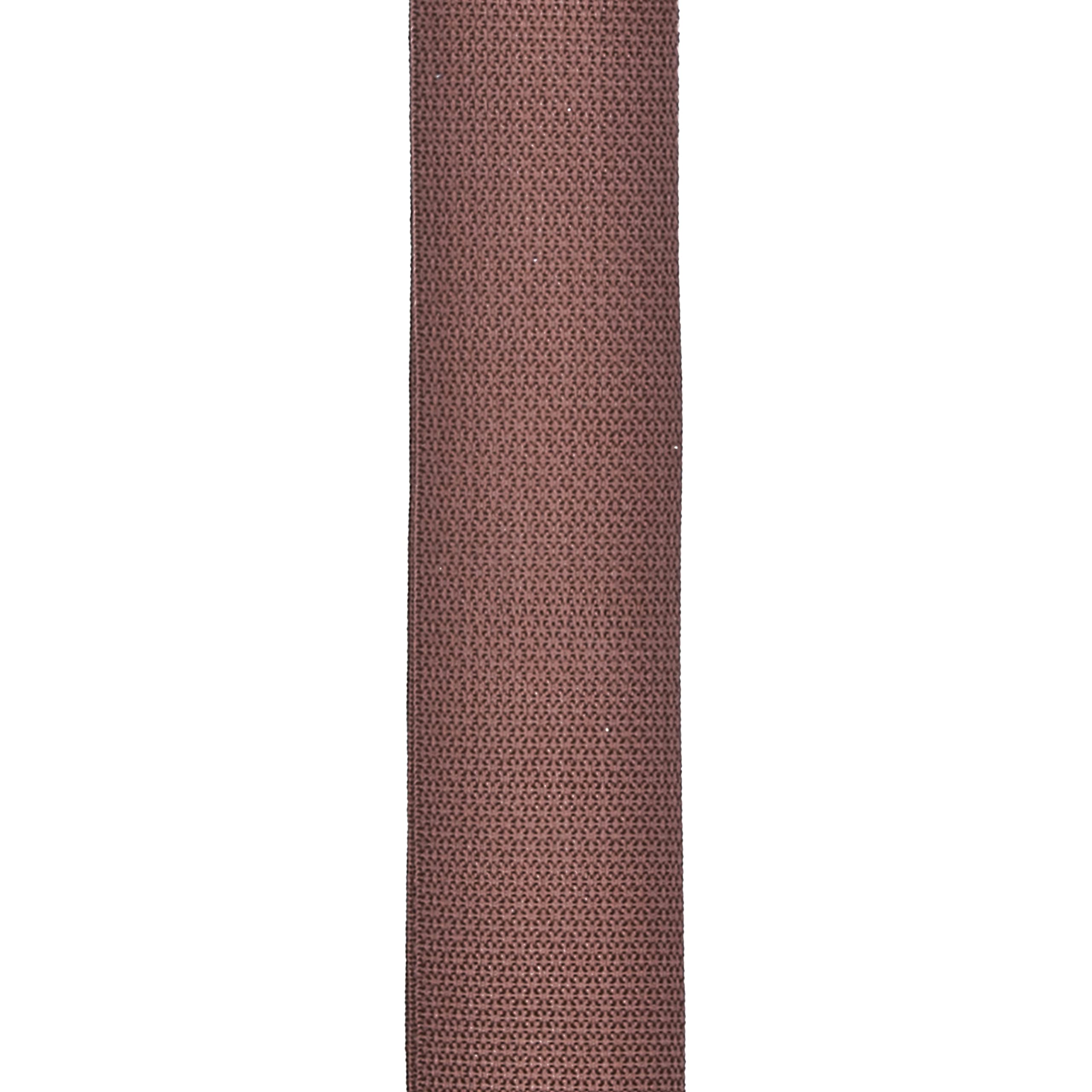 Planet Waves PWS109 50Mm Polypropylene Strap Brown