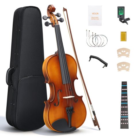 Ktaxon 4/4 Violin Solid Wood, Full Size Acoustic Fiddle Set (Gloss)