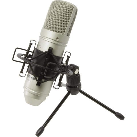 Tascam TM-80 Large Diaphagm Condenser Microphone,Silver