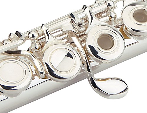 Glory Premium Hand Engraved Silver Plated FLUTE 17 Hole OPEN/CLOSED C Flute With Deluxe Case, Tuning Rod,Cloth,Gloves