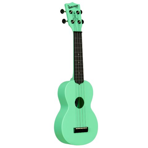 Kala KA-R-WMS-GN-S Soprano Recycled Waterman Ukulele – Sea Foam Green