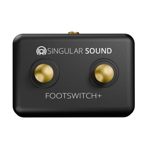 Singular Sound Dual Momentary Footswitch Plus (Black)