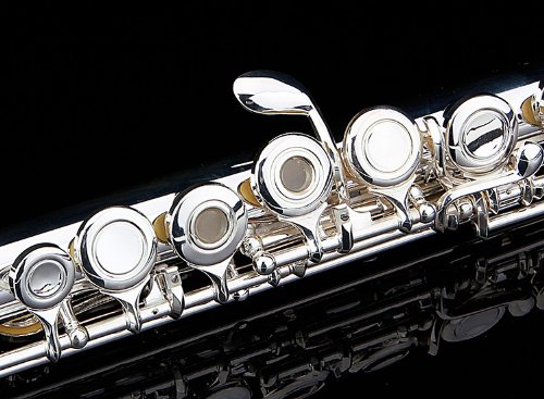 Glory Premium Hand Engraved Silver Plated FLUTE 17 Hole OPEN/CLOSED C Flute With Deluxe Case, Tuning Rod,Cloth,Gloves