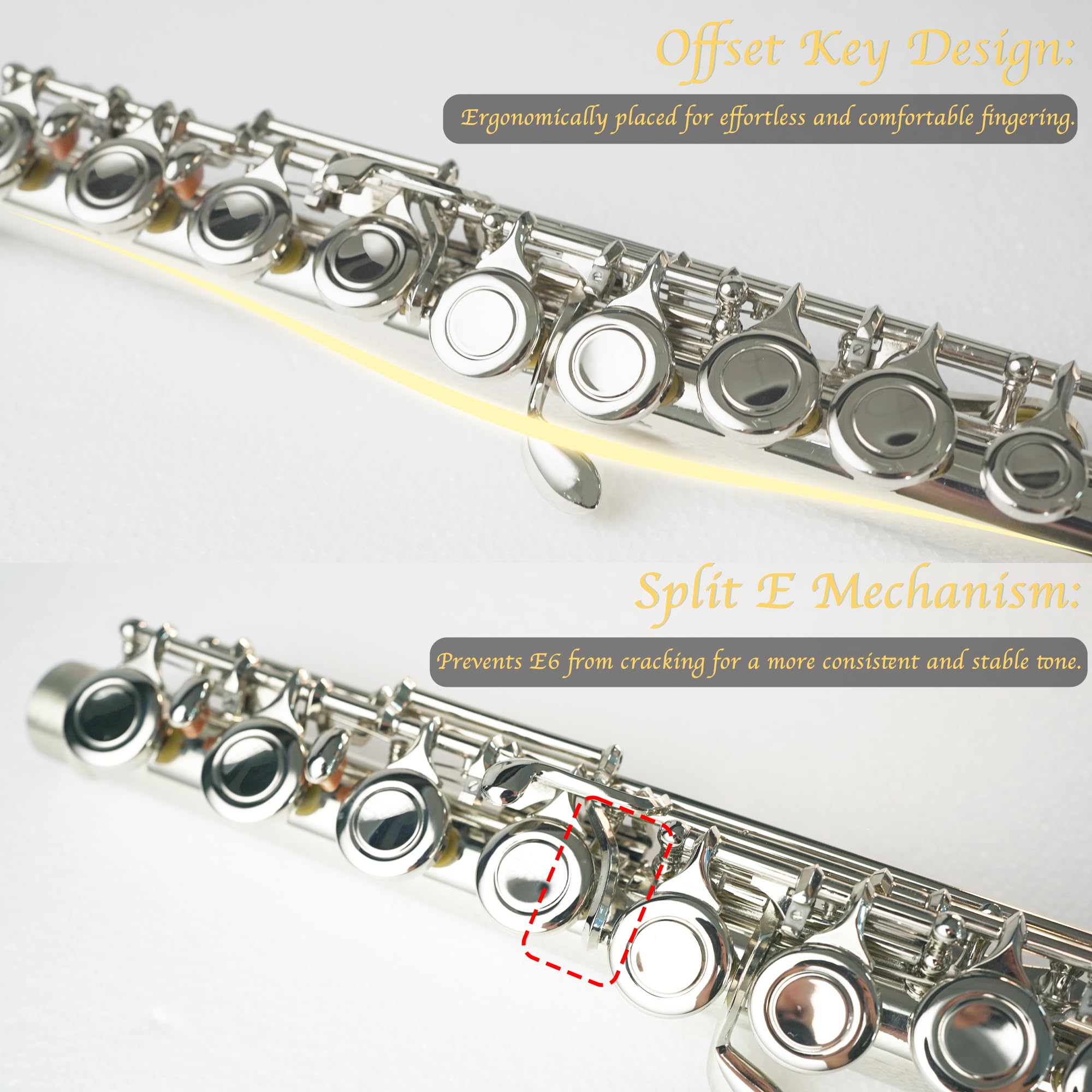 BAHAMUT 16-Key Flute – Beginner Flute with Closed Hole, Offset G, Split E