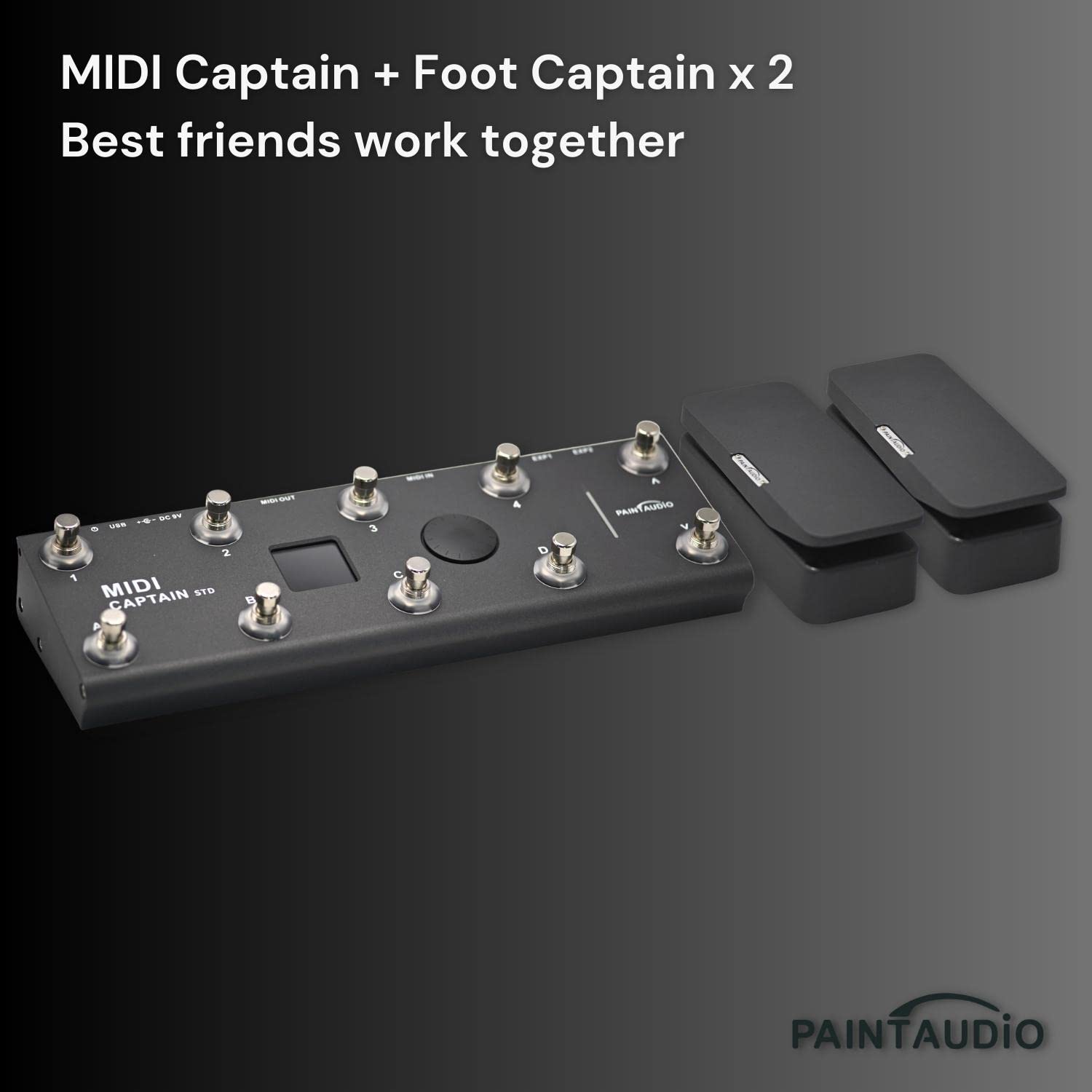 Paint Audio Foot Captain Dual Outputs Expression Pedal Multi-effects Compatible for Tip/Ring Connection (Foot Captain)