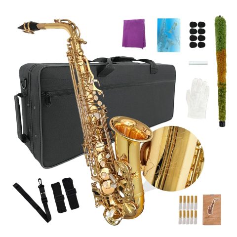 YoungMonic Alto Saxophone E Flat for Adults Student Sax Eb Alto Full Kit With Carrying Sax Case Mouthpiece Straps Reeds Saxophone Beginner Kit