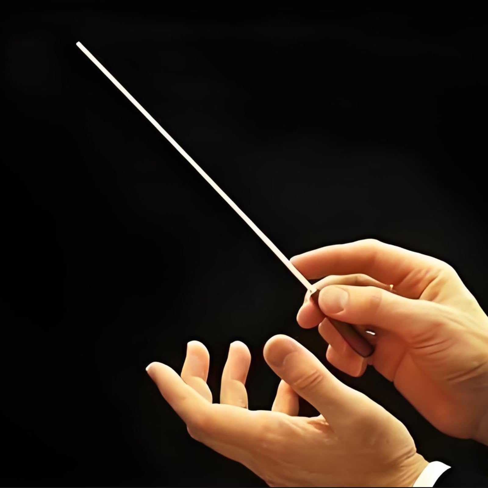 CashBeat 15 Inch Music Conducting Baton, Resin Handle with Case