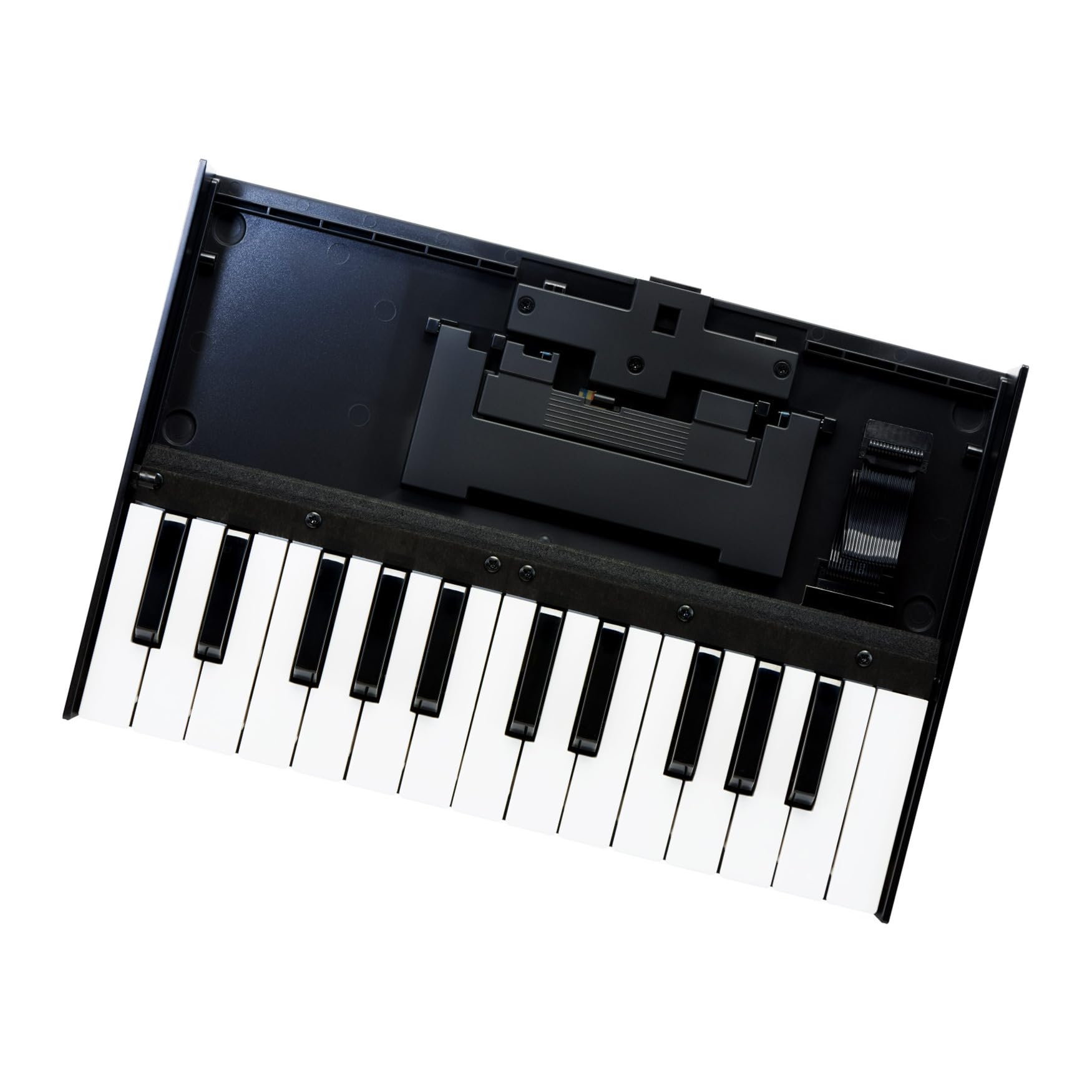Roland K-25M Boutique Module Dock USB MIDI Keyboard, 12 inch ()